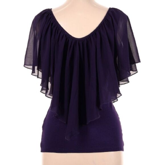 Venus Purple Sheer Arm Scoop Neck Top - Picture 1 of 6